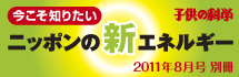 注目の別冊『今こそ知りたいニッポンの新エネルギー』
