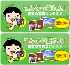 こんなの撮れた！読者の写真コンテスト受付中