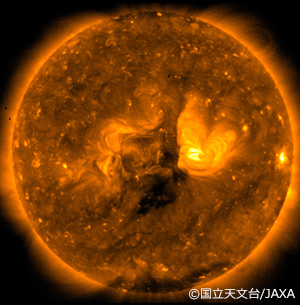太陽観測衛星「ひので」のX線望遠鏡（XRT）が撮影した太陽。(C)国立天文台/JAXA