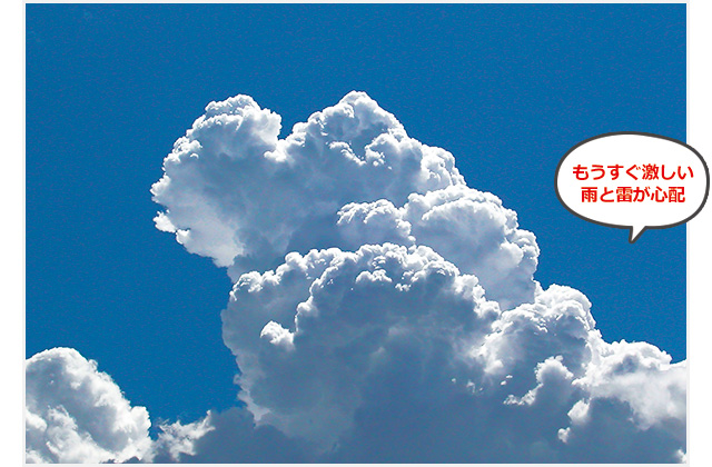 コカねっと トップページ 夏休み コカねっと 自由研究スペシャル 雲を読もう 雨になるサインを見逃すな 夏休み自由研究スペシャル 子供の科学がキミにぴったりの自由研究をおしえる 観察したい 雲を読もう 武田康男 日本ではいろいろな空の姿を