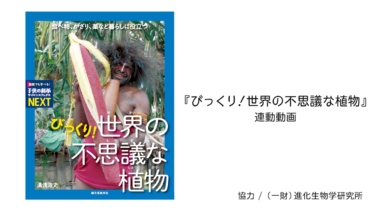 子供の科学サイエンスブックスnext びっくり 世界の不思議な植物 連動動画 コカネット