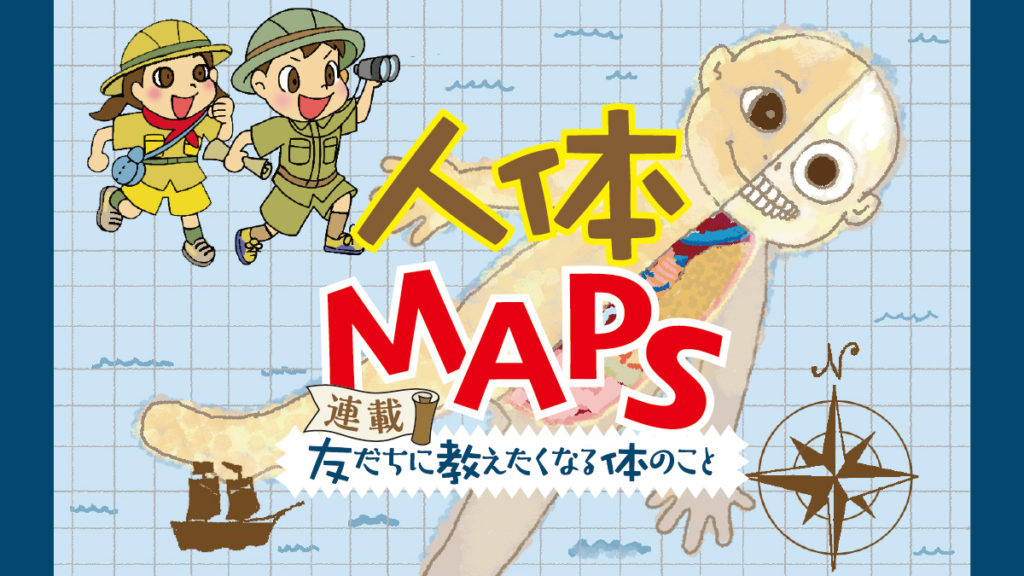 連載 人体maps 第３話 胃と腸 コカネット