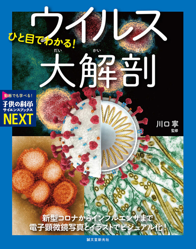 ひと目でわかる！ ウイルス大解剖