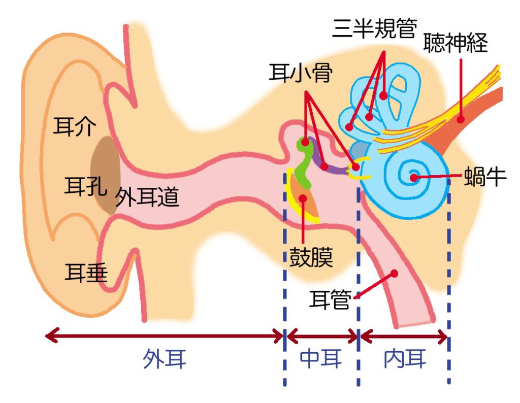 インフォグラフィック