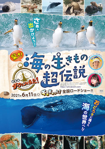 さかなクンに聞く 海の生きもののすギョい生態 前編 コカネット