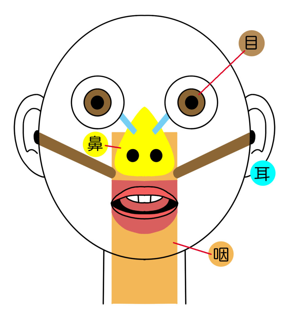 活動歴および当時の関連ビジュアル記録