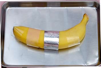 紫外線の正体をあばく《バナナで実験》-自由研究スペシャル