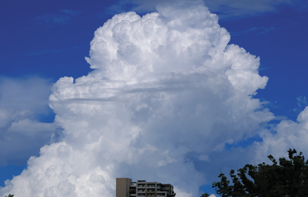 雲の観察マスターになる 自由研究スペシャル