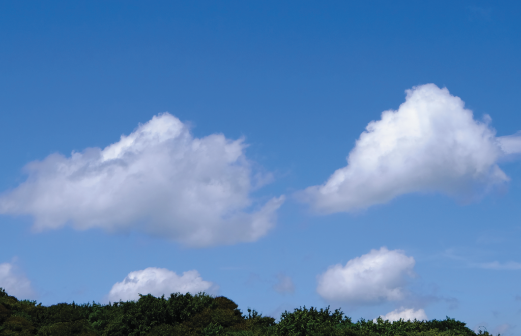雲の観察マスターになる 自由研究スペシャル