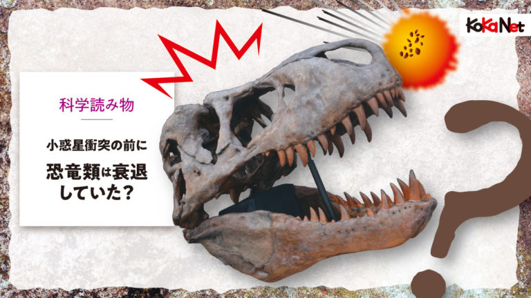 化石 恐竜ハドロサウルス科の肋骨 実物 産地・種類不明 64㎝ 聴こえ