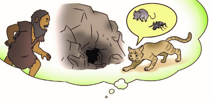 ネコはなぜ狭くて暗いところが好き もっと知りたい イヌネコのふしぎ コカネット