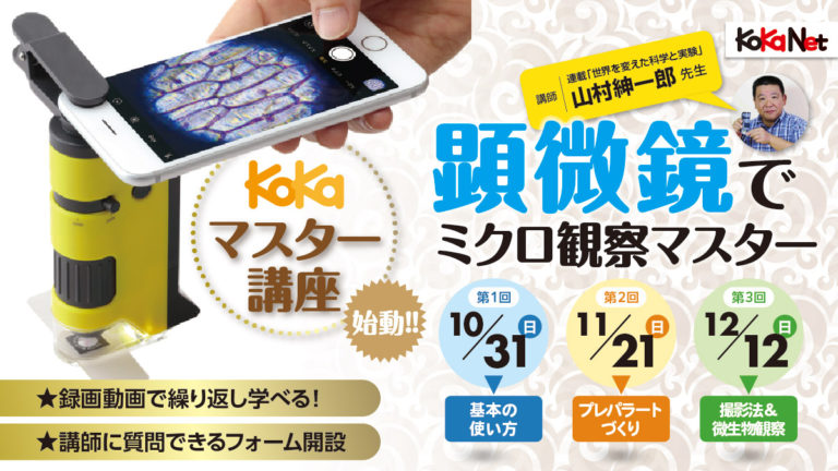 観察 コカネット