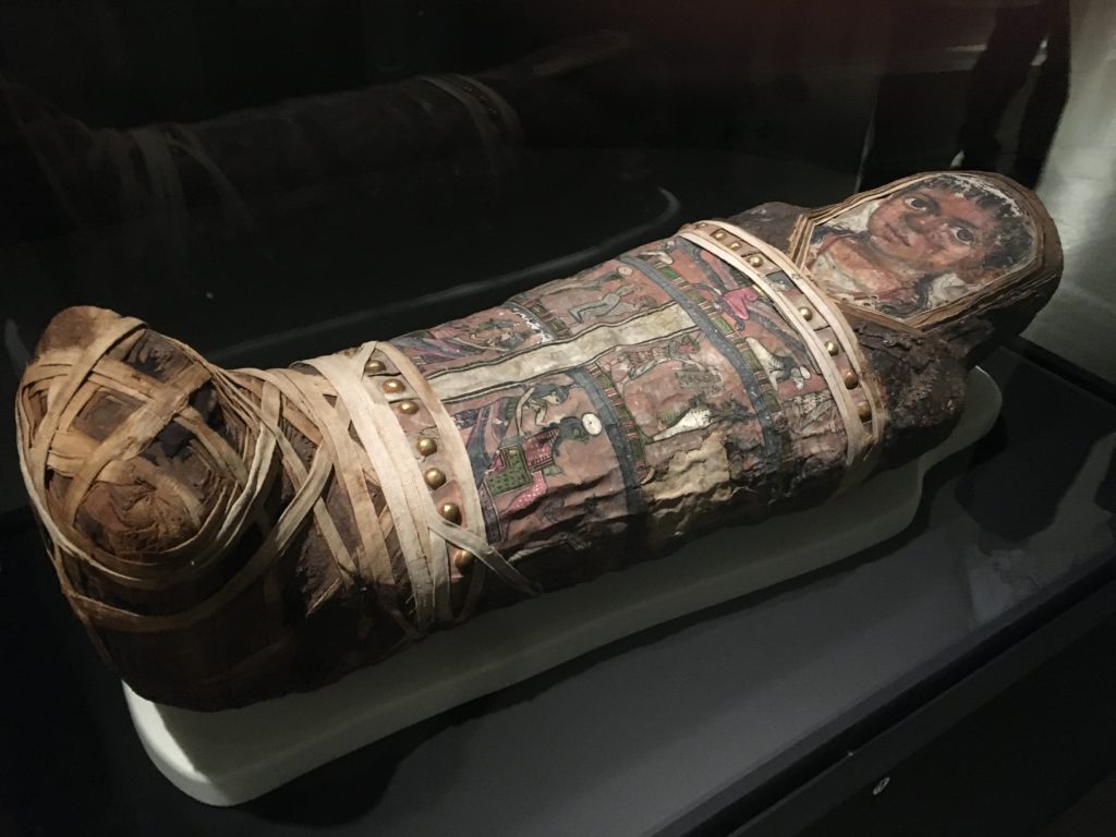 招待券プレゼントあり 編集部が写真でリポート 最新ctスキャンと3d画像でせまる古代エジプトとミイラの謎 招待券プレゼントあり 編集部が写真でリポート 最新ctスキャンと3d画像でせまる古代エジプトとミイラの謎