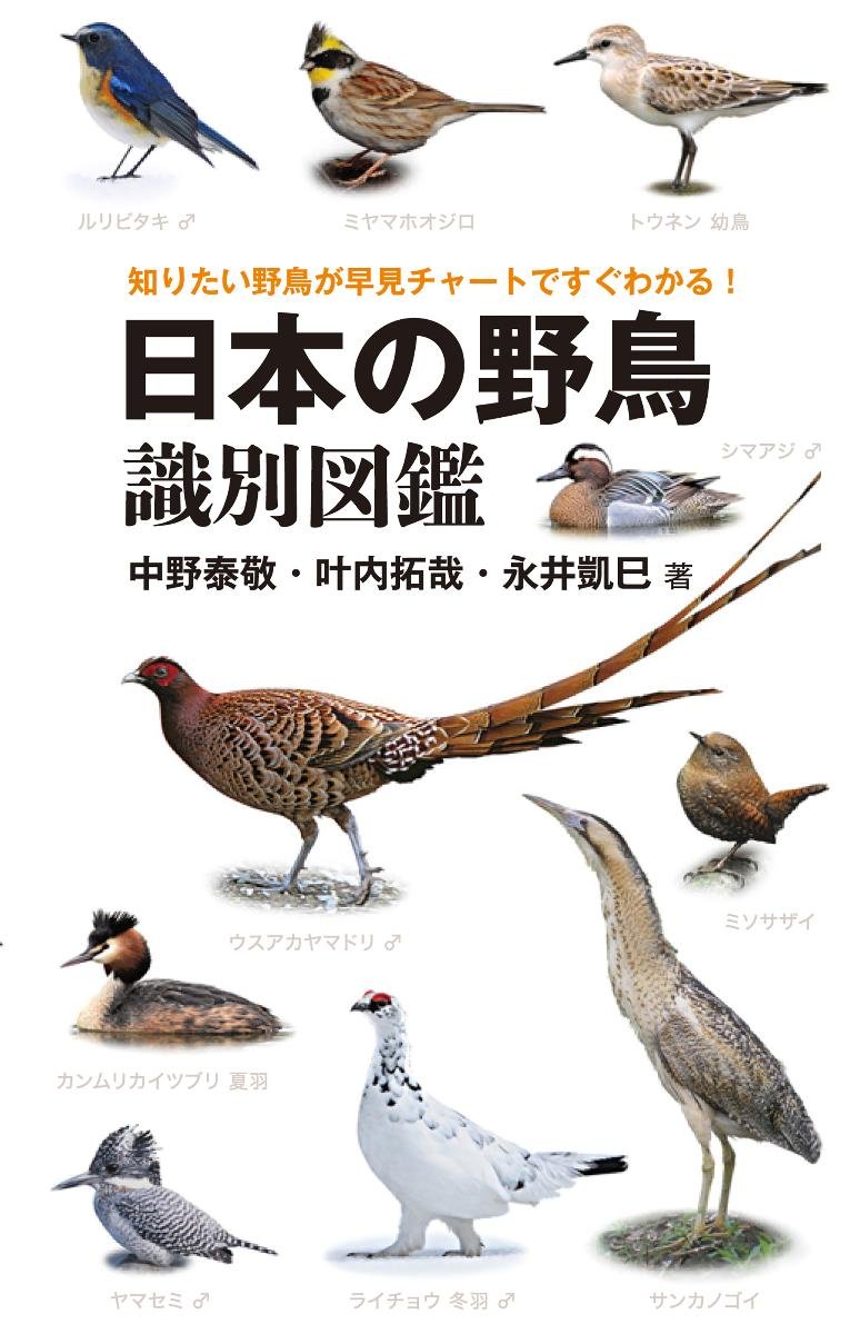 日本の野鳥識別図鑑