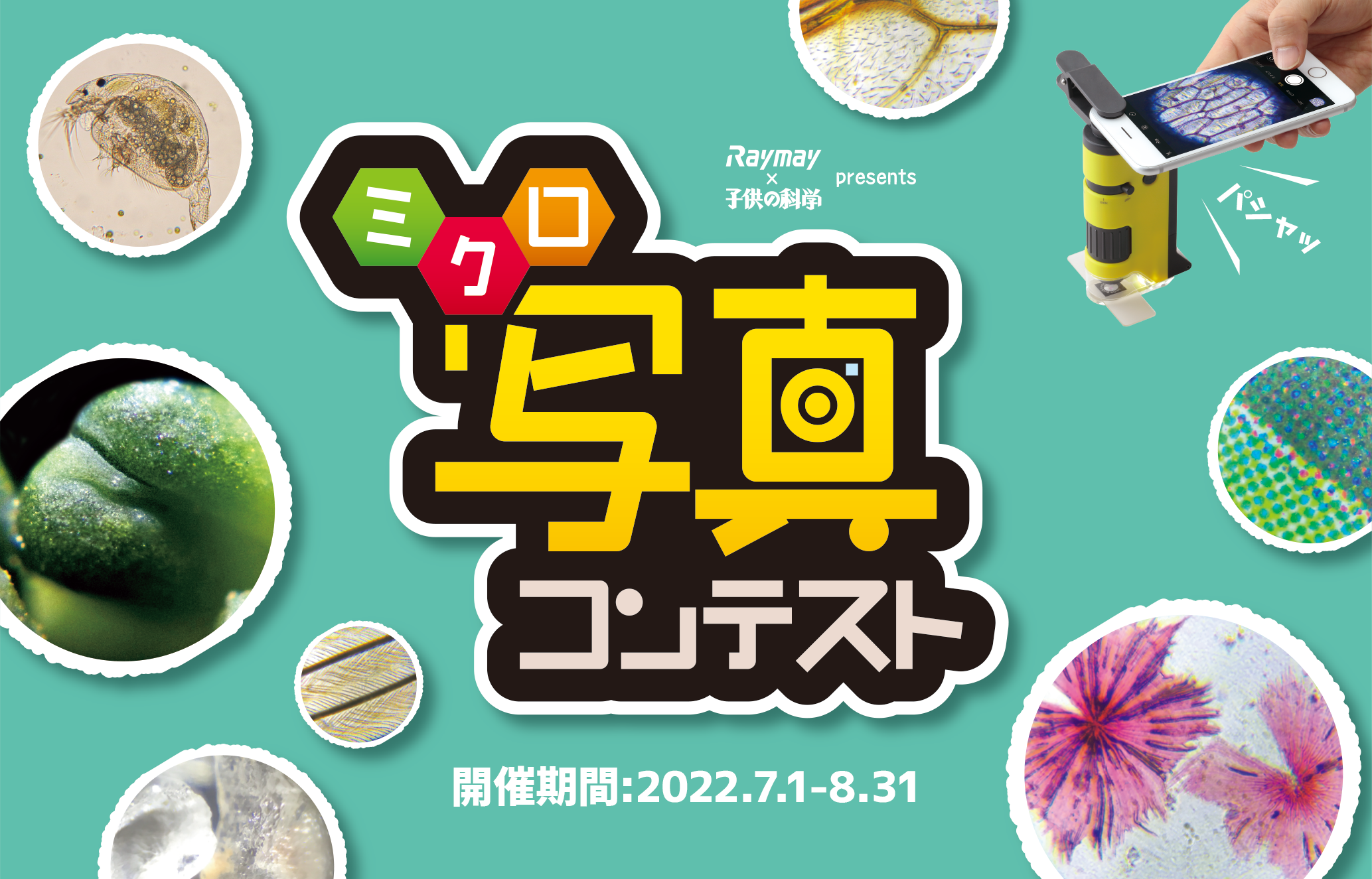 雲の観察マスターになる 自由研究スペシャル