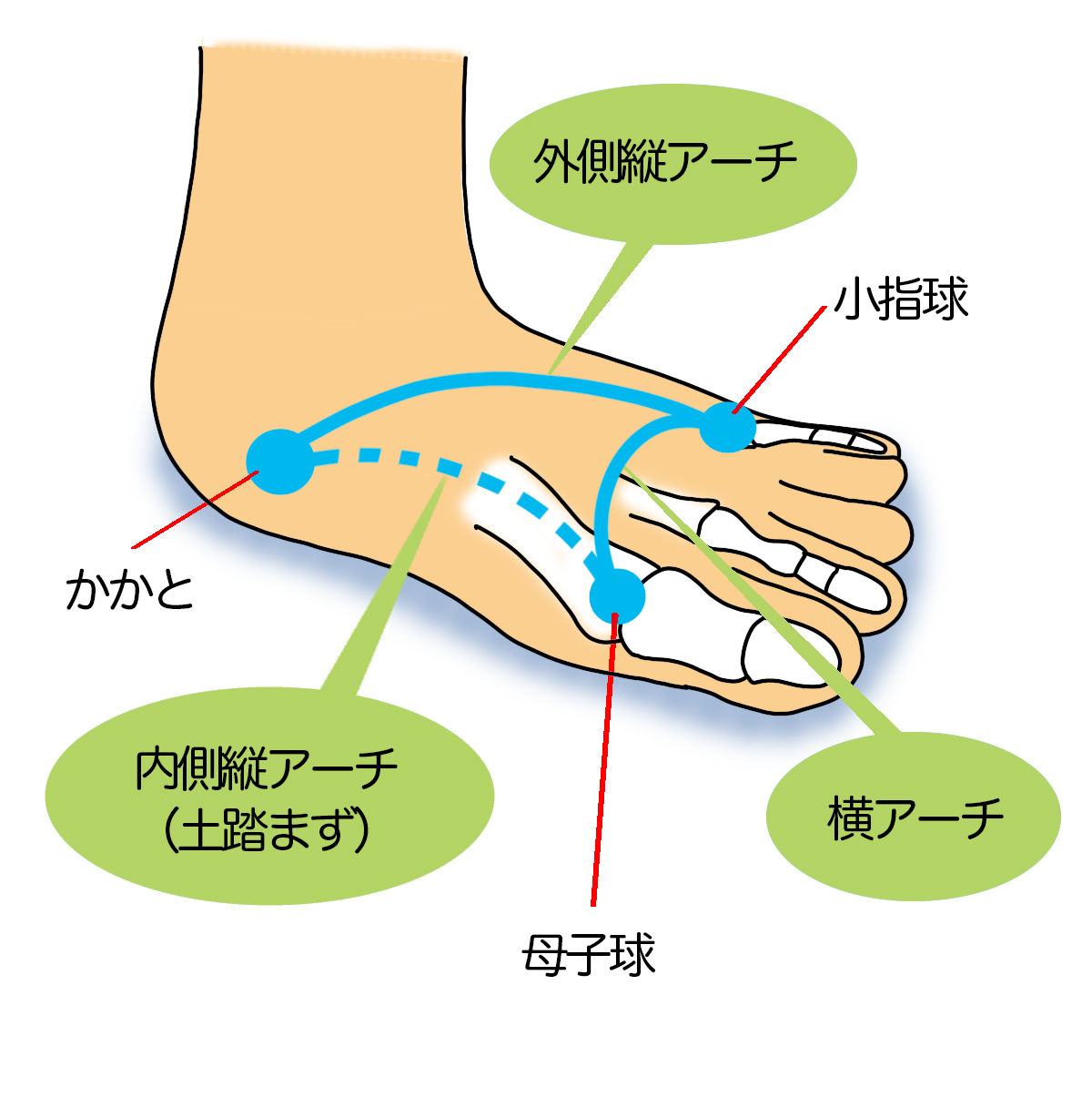 足裏名称