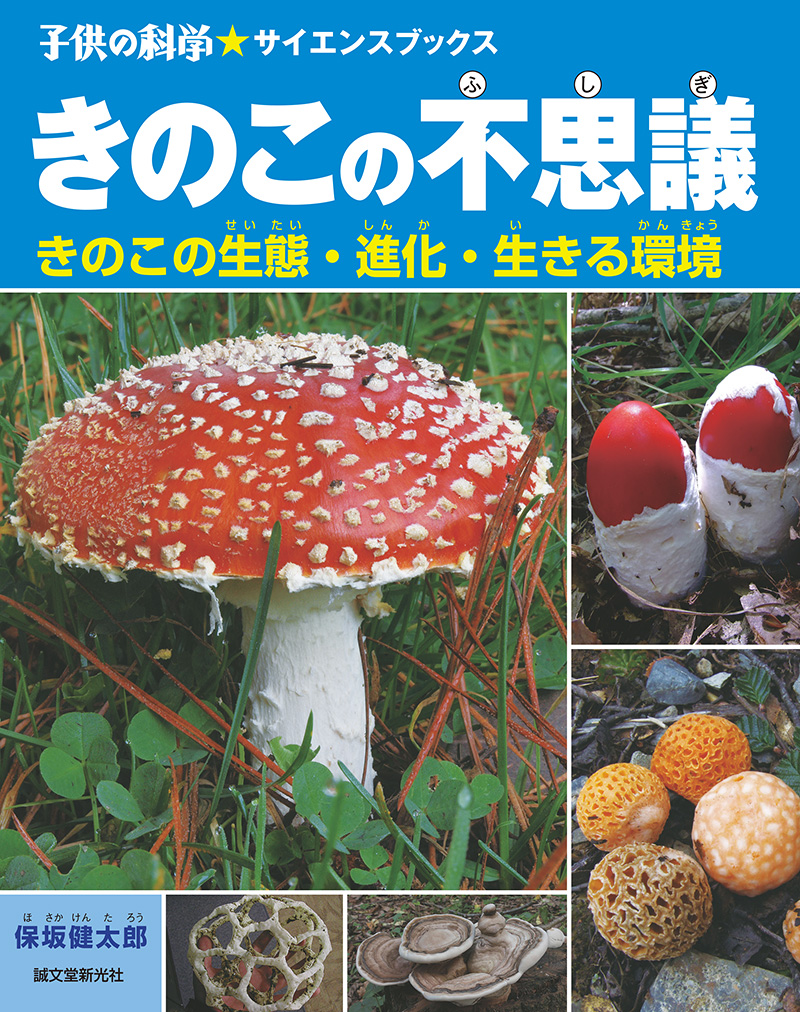 きのこの不思議│コカネット