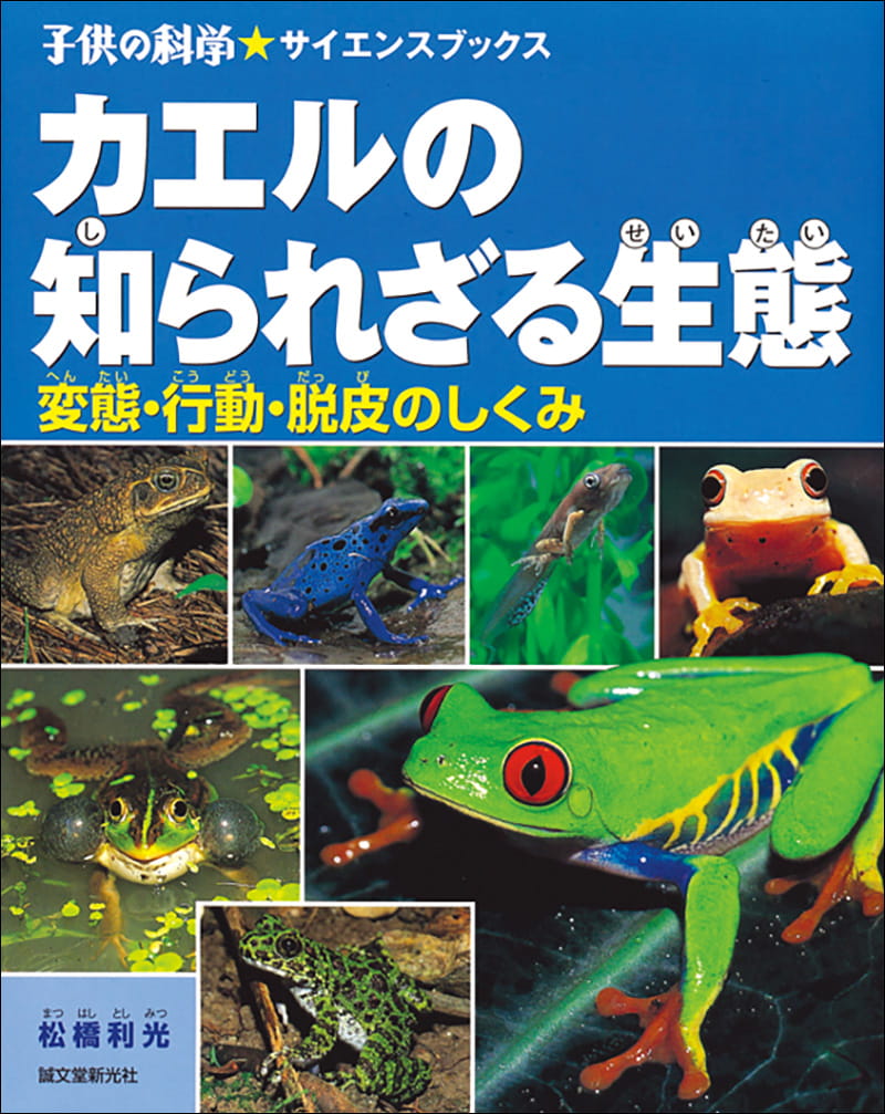 カエルの知られざる生態│コカネット
