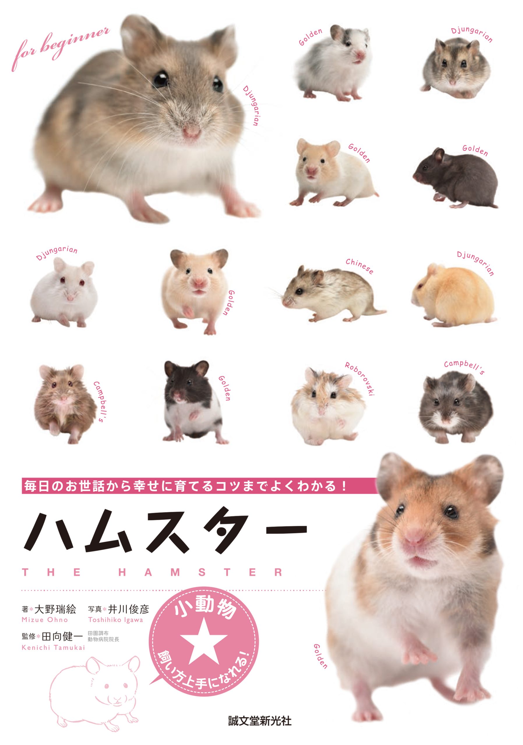 ハムスター写真
