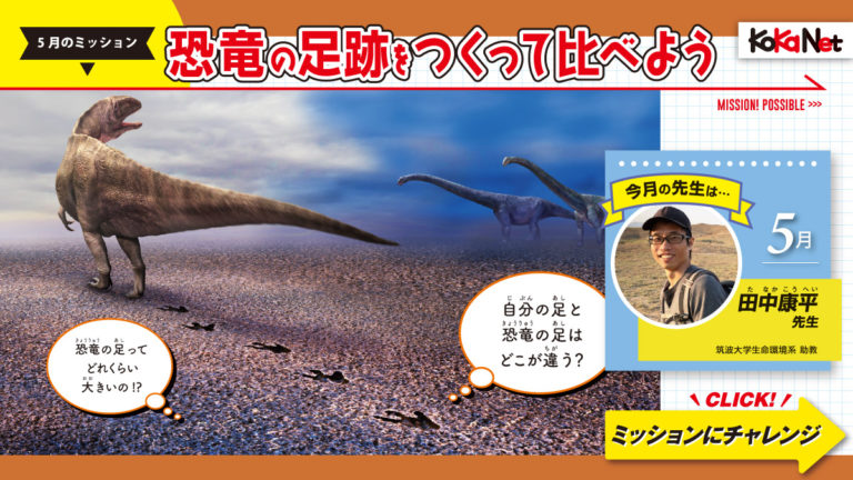 恐竜│コカネット