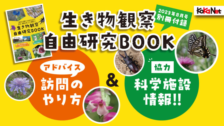 静岡県 磐田市竜洋昆虫自然観察公園【2023年8月号 別冊付録】│コカネット