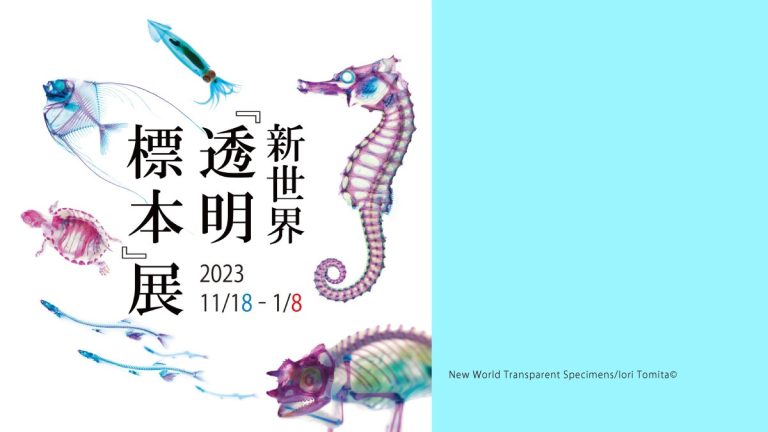 アイキャッチ透明標本展3-