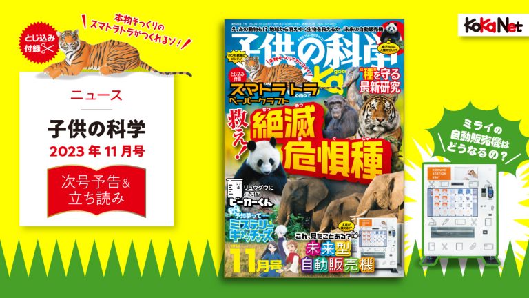 子供の科学2023年11月号はこんな内容だ！│コカネット