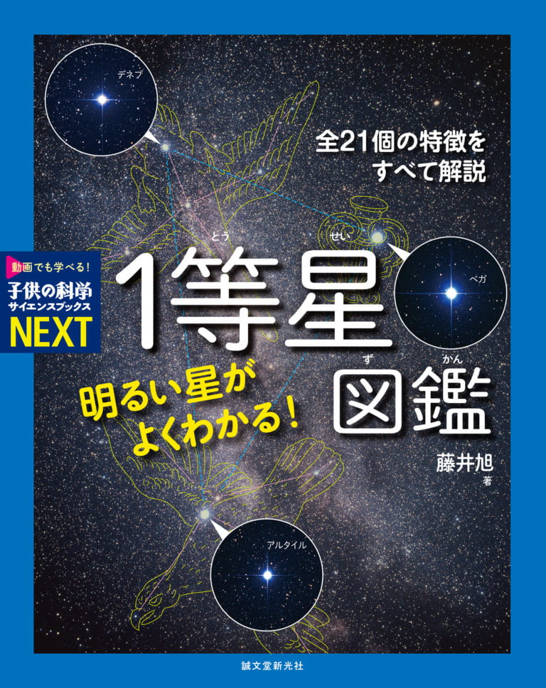 main-768x968.jpg