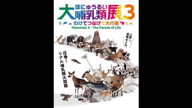 特別展「大哺乳類展3―わけてつなげて大行進―」国立科学博物館で3月16日