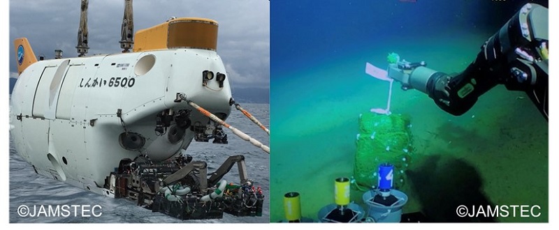 【コカトピ！】生分解性プラスチックが深海で分解されることを確認