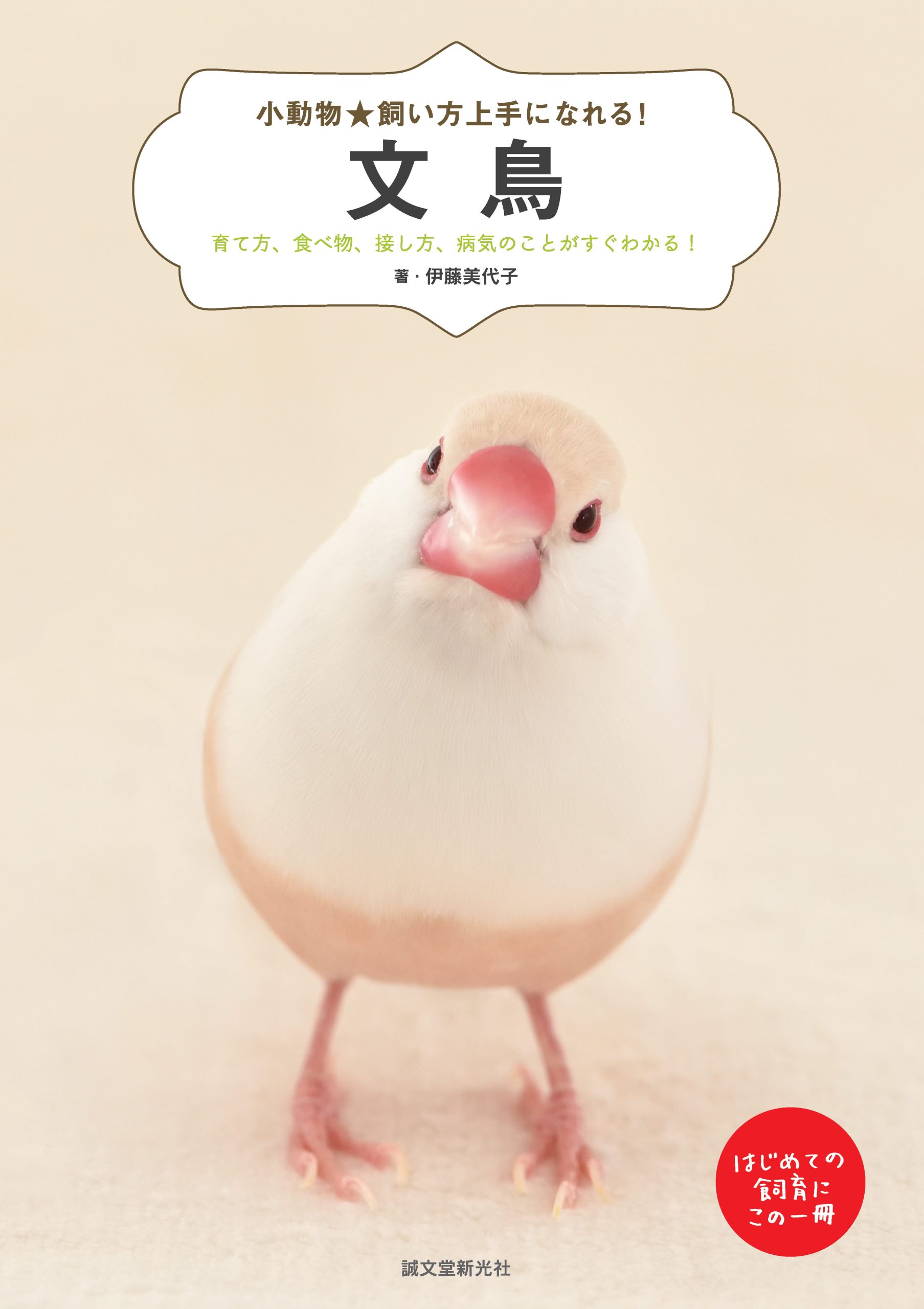 文鳥│コカネット