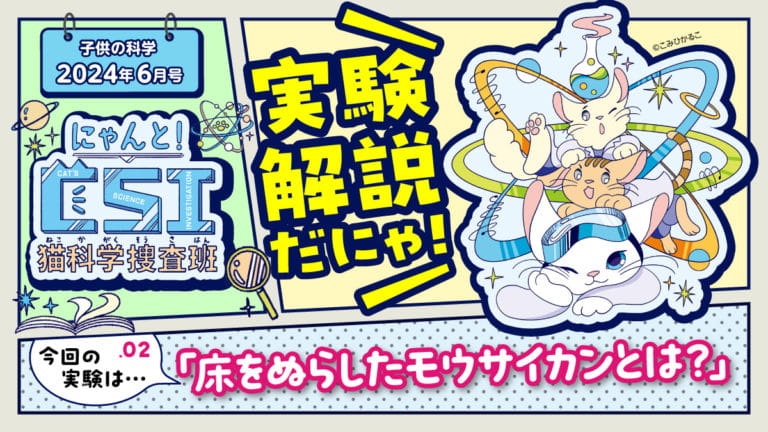 にゃんと！CSI～猫科学捜査班～実験解説だにゃ【子供の科学2024年6月号