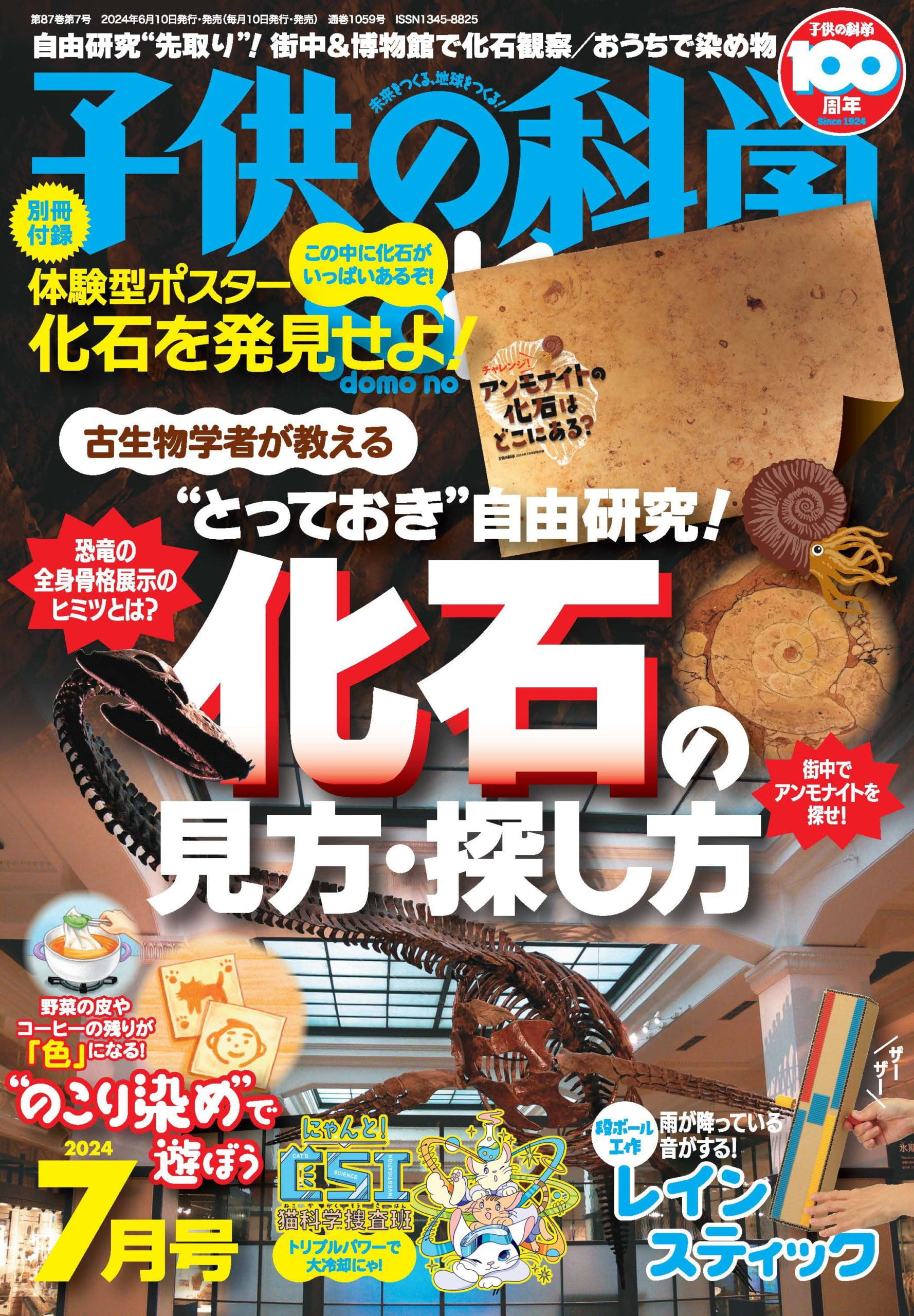 8/3（土）9:00】身近なところで化石を探そう！観察しよう！《自由研究 