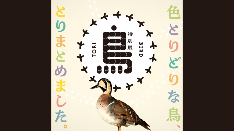 国立科学博物館で11月2日（土）から開催！ 特別展「鳥 ～ゲノム解析で