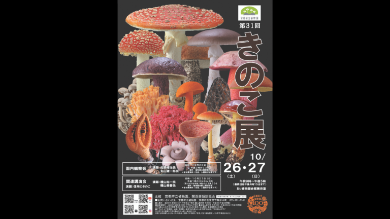 京都府立植物園で開催！ 第31回「きのこ展」【京都府、10月26日（土