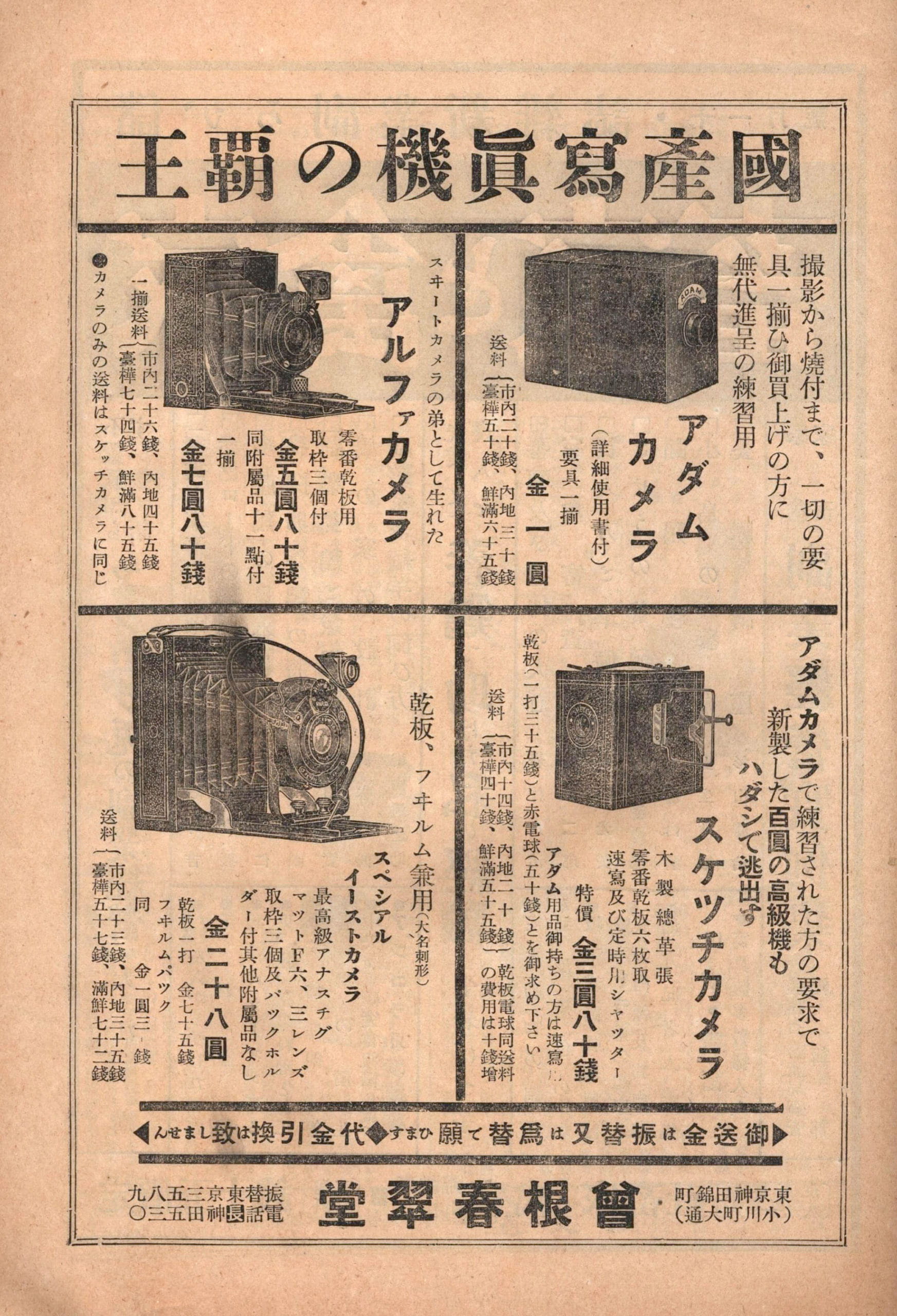 杉本洋、【春筍】、希少な額装用画集より、新品額装付、状態良好 子供の科学』創刊100周年メッセージ☆現代美術作家・杉本博司さん