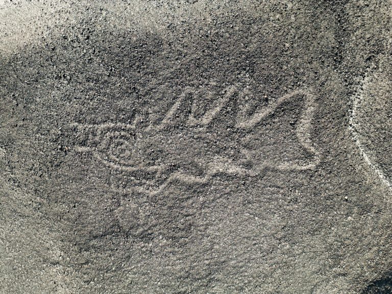 コカトピ！】人工知能を活用してナスカの地上絵を数多く発見│コカネット