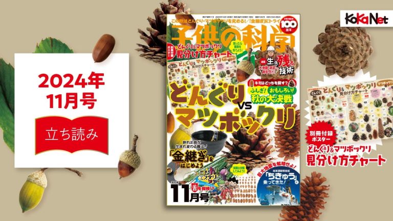 子供の科学2024年11月号はこんな内容だ！│コカネット