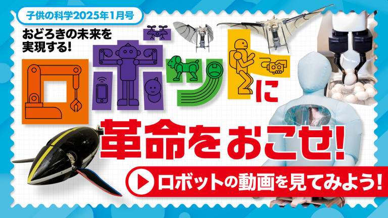 ウズラの卵をつまみあげるロボットハンド│コカネット