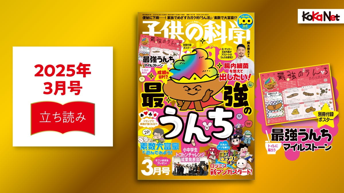 夏菜様確認用ページ （未使用】卒業アルバム 超レアな女優・アイドル 