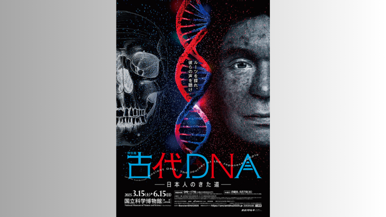 国立科学博物館で3/15（土）から開催！特別展「古代DNA―日本人の
