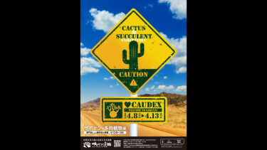 Mリーガー佐々木寿人プロインタビュー！【サイン会開催＆サイン本