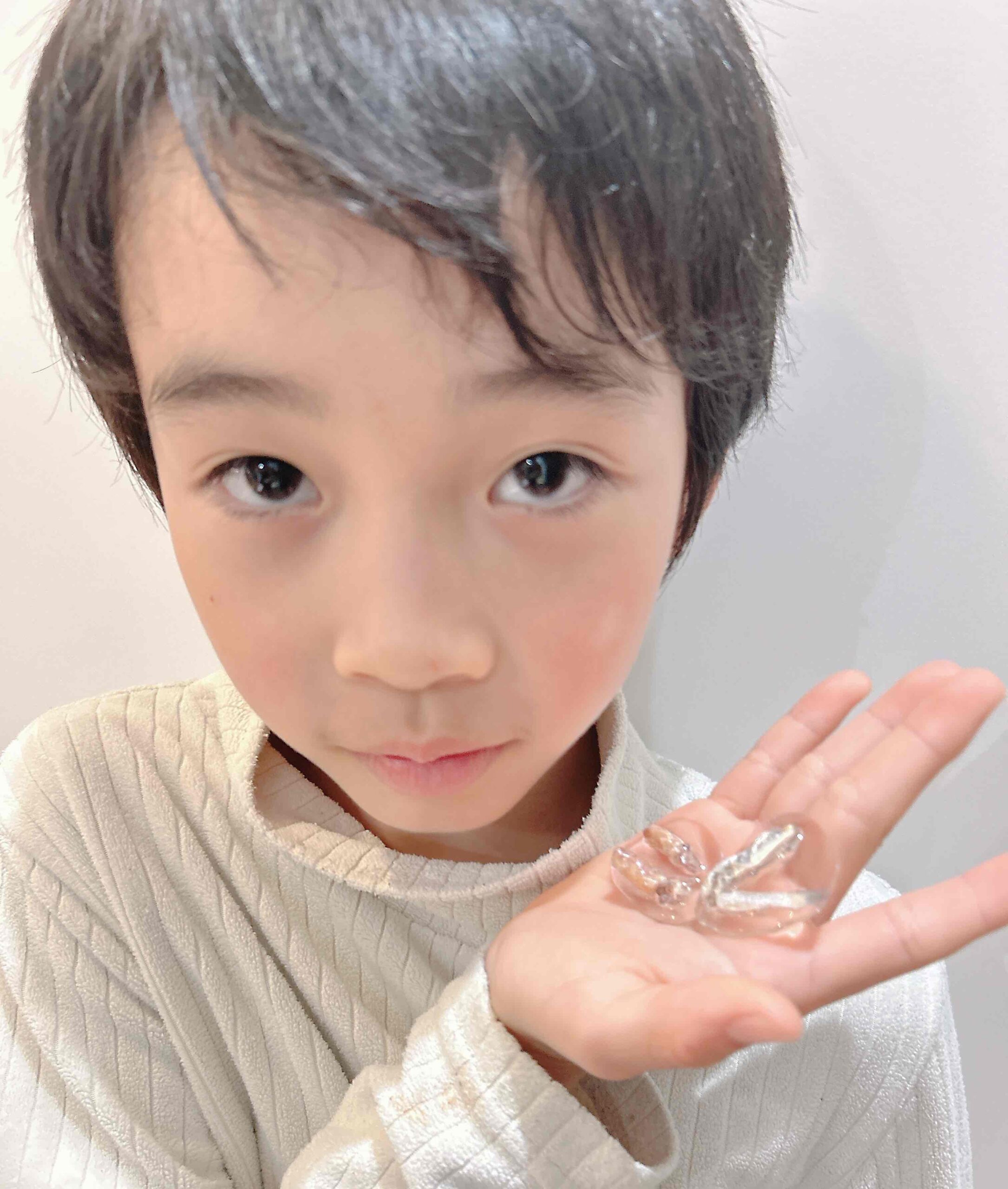 小中学生トコトンチャレンジ2025」採択者を発表！│コカネット