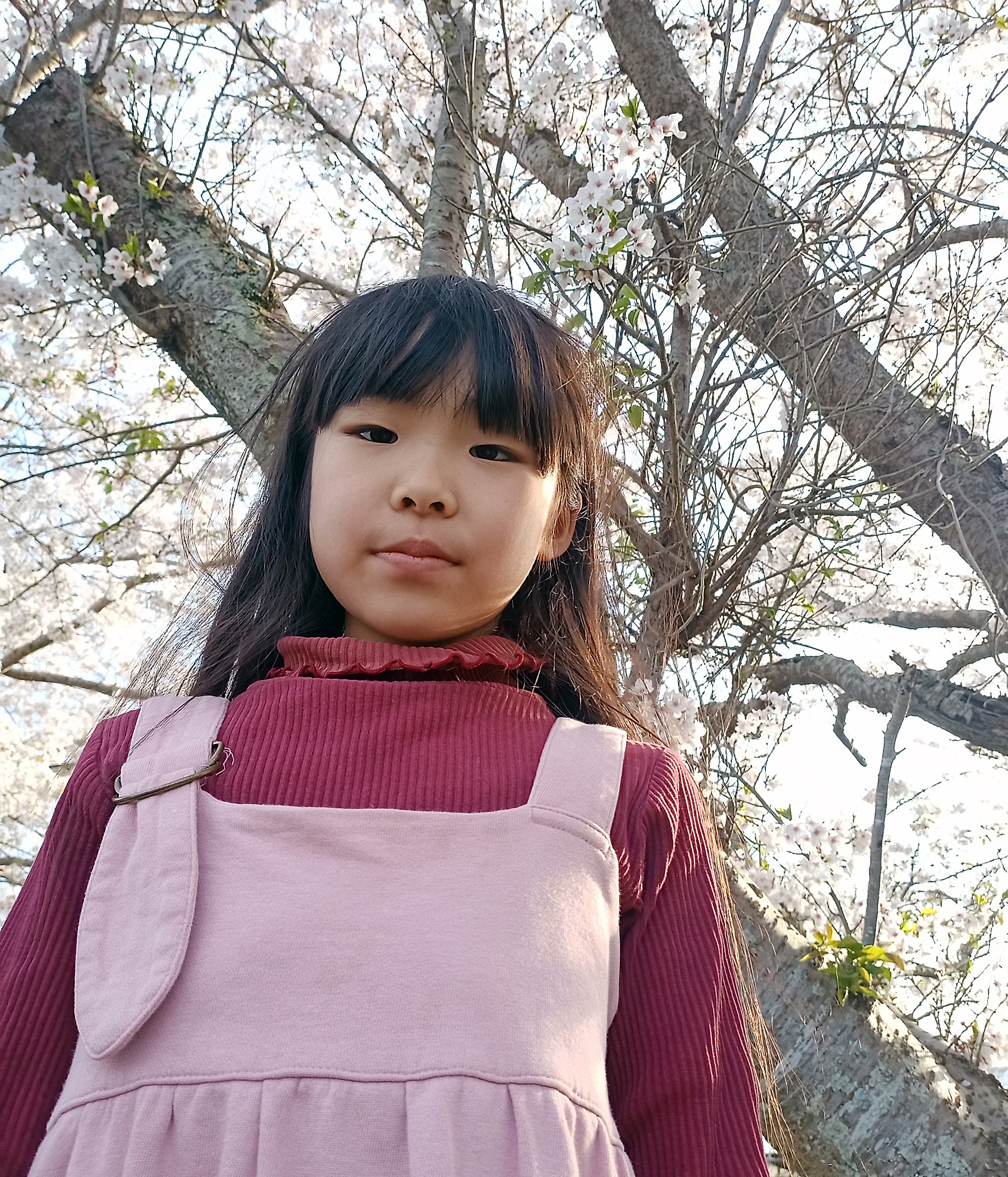 小中学生トコトンチャレンジ2025」採択者を発表！│コカネット