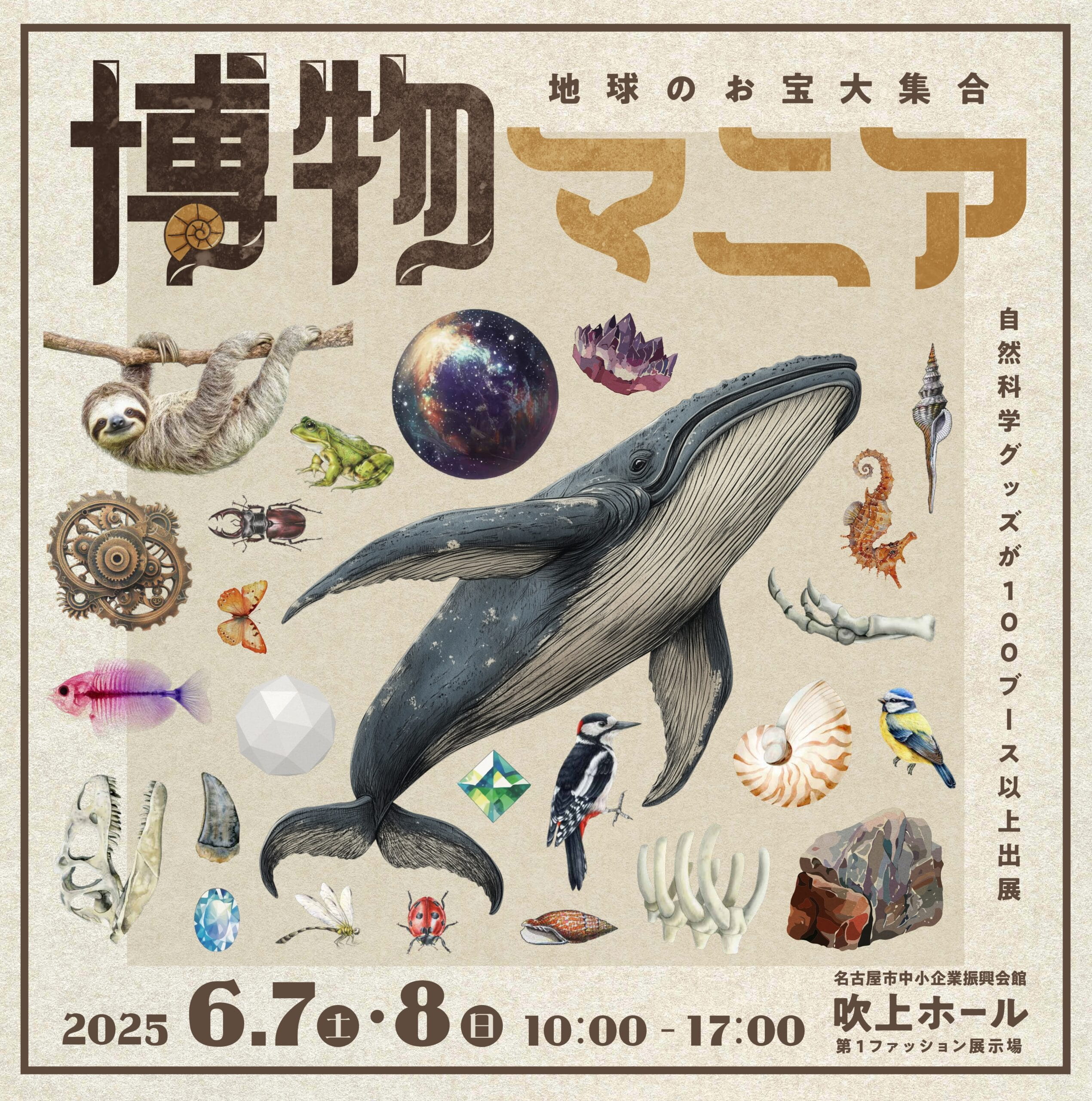 地球のお宝大集合！「博物マニア」へ遊びに行こう！【愛知県、6月7日