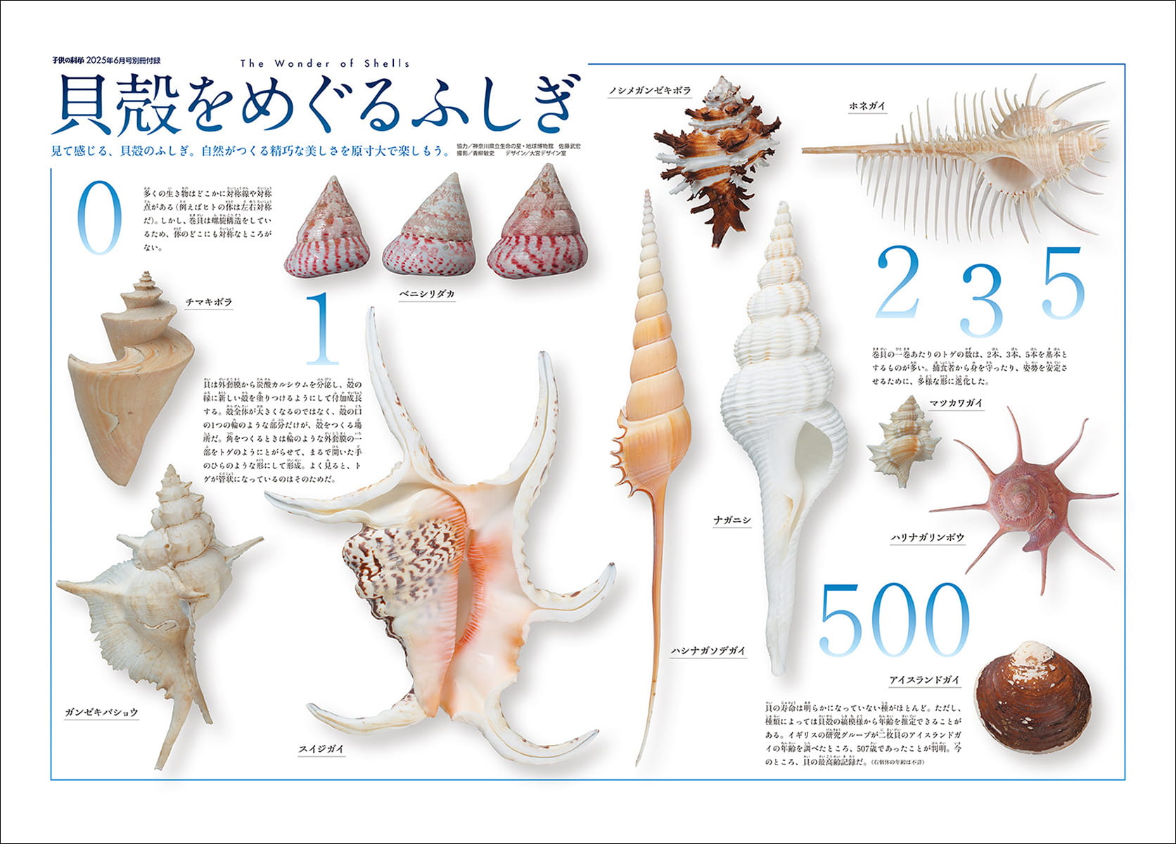 子供の科学2025年6月号はこんな内容だ！│コカネット