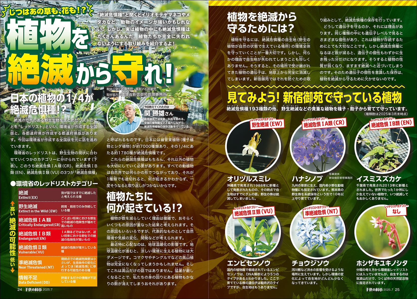 子供の科学2025年7月号はこんな内容だ！│コカネット