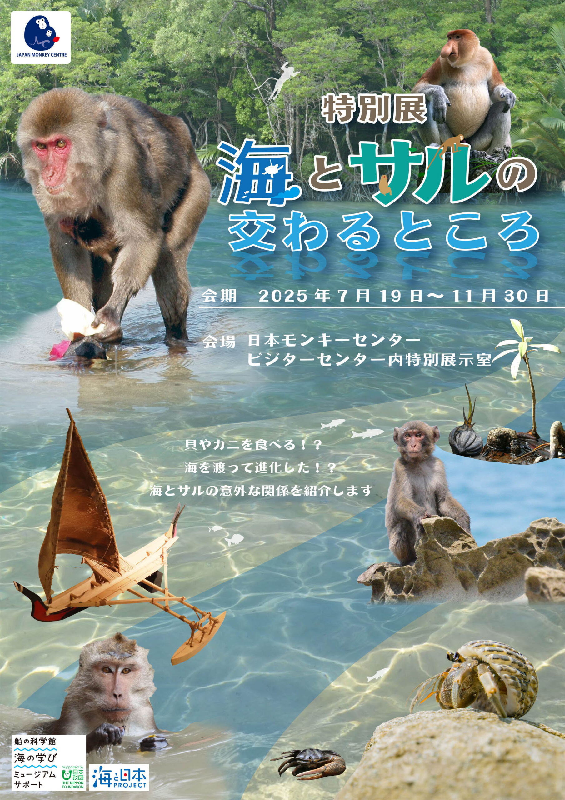 日本モンキーセンターで開催中！ 特別展「海とサルの交わるところ」へ
