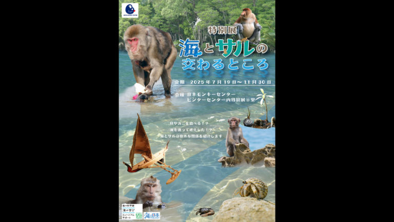 日本モンキーセンターで開催中！ 特別展「海とサルの交わるところ」へ