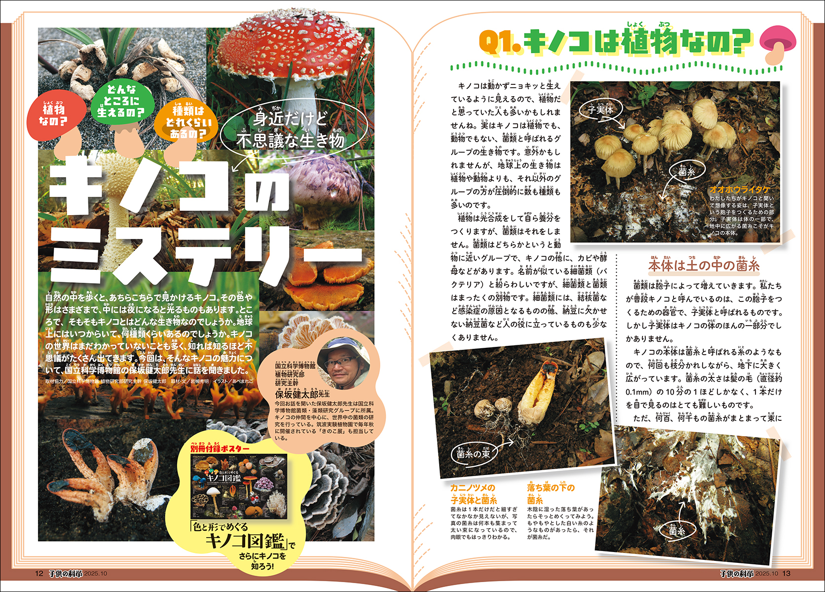 子供の科学2025年10月号はこんな内容だ！│コカネット